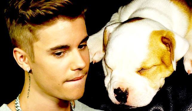 Бибер нохойндоо Селена гэдэг нэр өгчээ